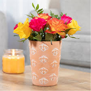 Large Terracotta Bee Plant Pot - brown